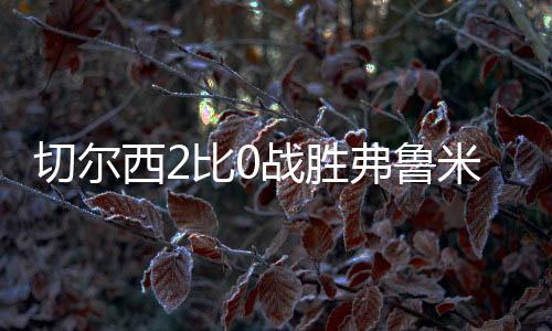 绝对是西比新援物超所值