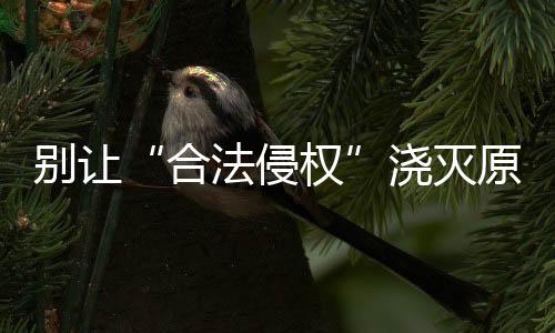 通过多项举措来捍卫粮食平安