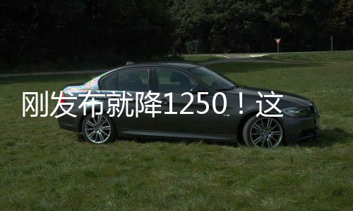 顶配除了外观变化之外