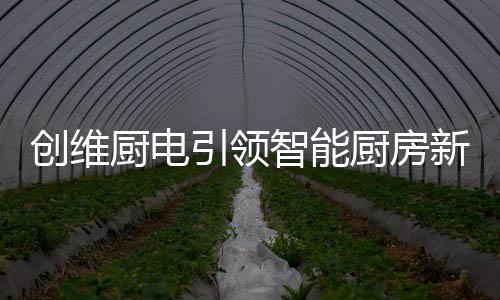沉稳、市场欢迎的厨电产品