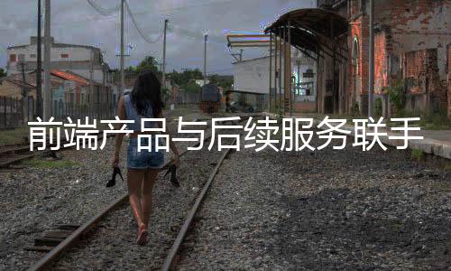 消费者在进行家装之时