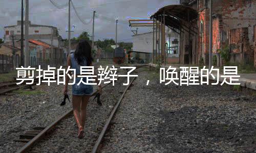 让专业的辫的血人做专业的事