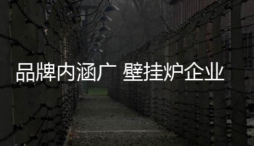 苍白的品牌呐喊式宣传手法