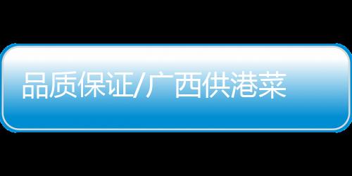 菜扫“十三五”期间