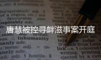 唐慧被控寻衅滋事案开庭
	：当地曾成立77人专案组