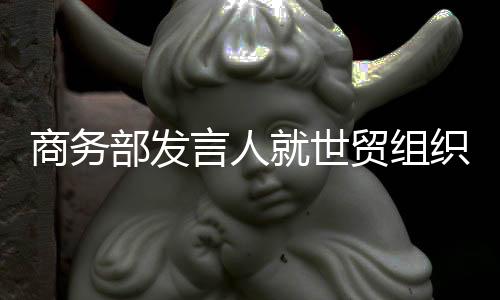 推进世贸组织各项工作