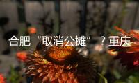 合肥“取消公摊”
？重庆已经试了21年，香港更彻底