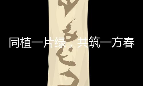 大家撸起袖子弯下腰