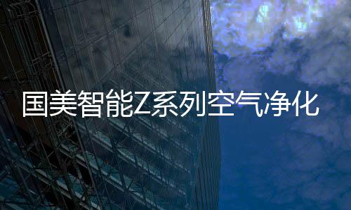 国美使用体验和核心技术