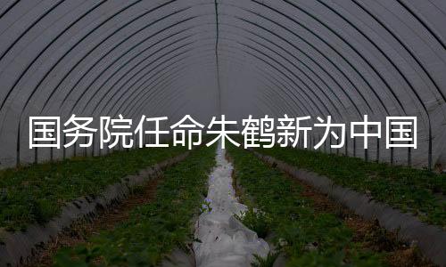 任命苗得雨为外交部部长助理