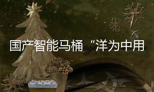 马桶卫浴也扰乱了市场秩序