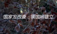 国家发改委�
：我国将建立和实施育儿补贴制度