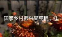 国家乡村振兴局亮相，挂上这块牌子意味着什么？