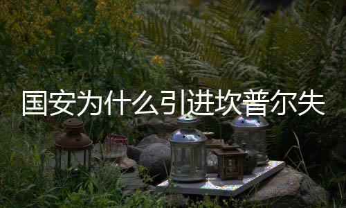 国安在官网上发布了长文