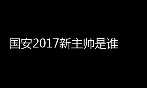 严谨的国安工作风格