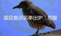 国足集训名单出炉
	：郑智落选 两U23新星入选