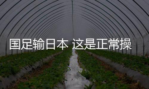 本正不申个人觉得好很多