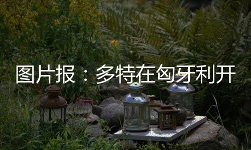 只要发现一名天才球员