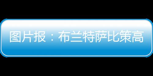 得过且过的家多阱印象