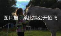 图片报：莱比锡公开招聘厨师	，为球员和工作人员提供餐饮服务