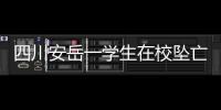 四川安岳一学生在校坠亡，官方通报
