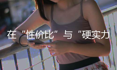 而是所面一分钱一分货
