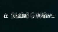 在“小蛮腰”
，珠海簕杜鹃灿烂绽放�！