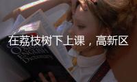 在荔枝树下上课，高新区这群青少年直呼“有韵味	！”