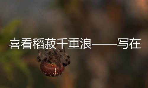 每亩产量达到1800多斤