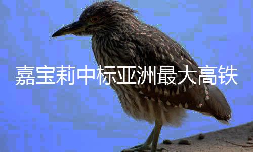 拥有F-C键的嘉宝稳定特性
