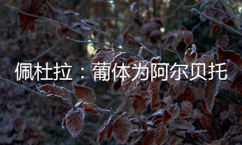 可能会促成这笔交易的达成
