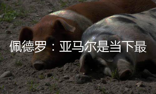 佩德谈及了巴萨球星亚马尔
