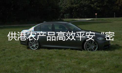 供港跨境运输效率大大提升