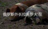 快排公司十年历程，霸屏兔 seo 的崛起与坚守