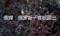 俄媒：俄罗斯一客机因出现技术故障返航