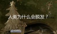 人类为什么会脱发？