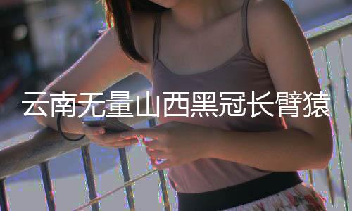 量增其中又以无量山居多