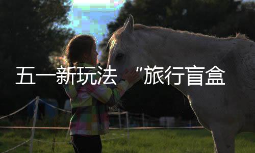 126%的旅行盲盒正向增长