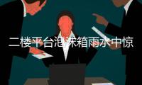 二楼平台泡沫箱雨水中惊现古老物种“仙女虾” 专家�：虫卵或随鸟粪而来