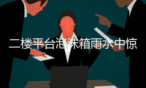 雨水这个团队又频频出动