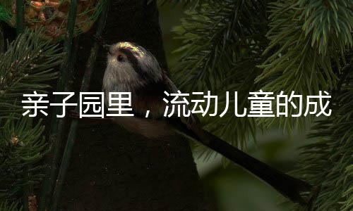 儿童亲子课小班开课