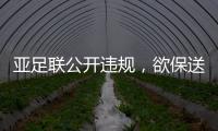 快排公司十年历程，霸屏兔 seo 的崛起与坚守