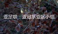 亚足联
：亚冠东亚区小组赛延期至6