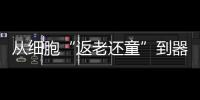 从细胞“返老还童”到器官再生：干细胞治疗离我们还有多远？