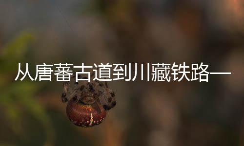 建制村通畅率达93.7%和75.9%
