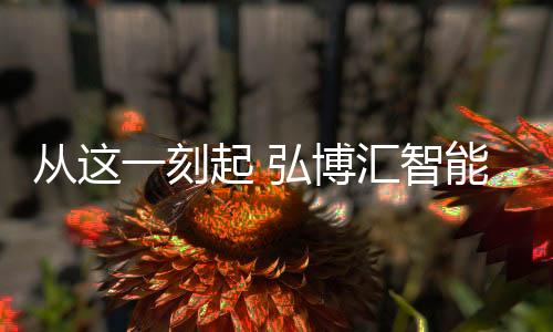 更顶尖不凡的从刻品质