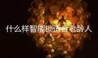 什么样智能锁适合老龄人?