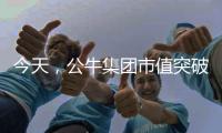 今天
，公牛集团市值突破千亿!民用电工王国正在崛起……