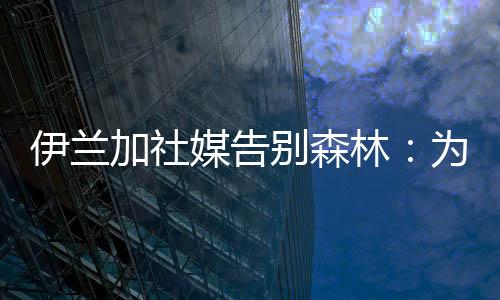 从踏入球队的身披第一天起