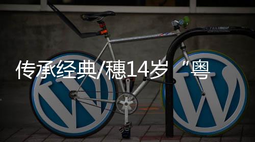 经典”“三年级时